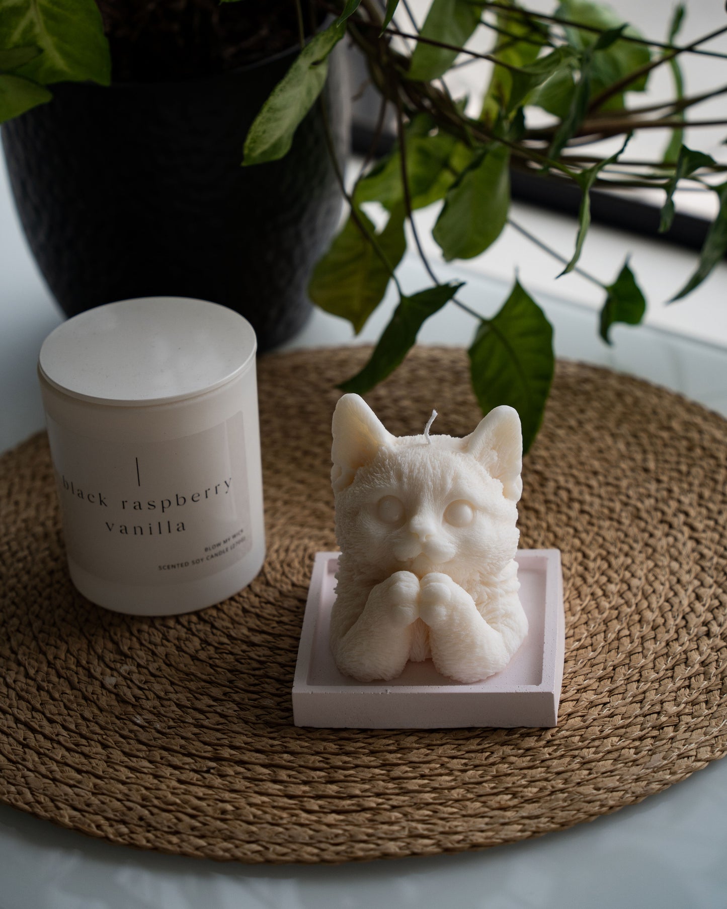 Kitten Candle